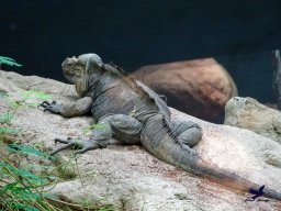 Tiergarten Schönbrunn am 03.10.2025